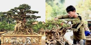 Anh hàng rong buôn cây thành đại gia, sở hữu cây sanh cổ 16 tỷ đồng