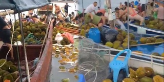 Hôi của từ tàu chở sầu riêng bị lật, nhiều người nhập viện do ngộ độc