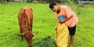 Thừa Thiên Huế: Nam sinh "mê" chăn bò, hái rau đạt 9,75 điểm môn Văn