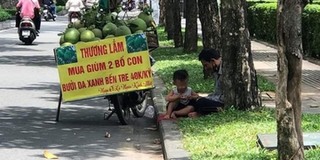 Câu chuyện xúc động của hai bố con bán trái cây trên đường phố Sài Gòn