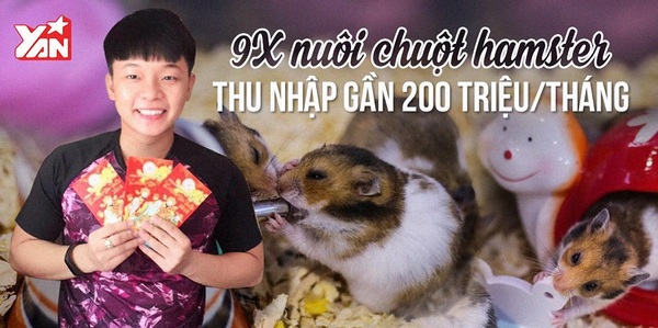 Tổng hợp với hơn 83 về mô hình nuôi chuột hamster mới nhất  Tin học Đông  Hòa