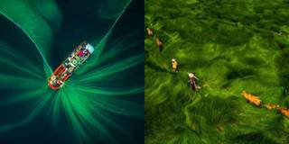 Tự hào cảnh đẹp Việt lọt top cuộc thi chụp ảnh trên cao của thế giới