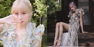 Rosé (BLACKPINK) không lép vế khi đụng hàng váy hoa với Momo (TWICE)