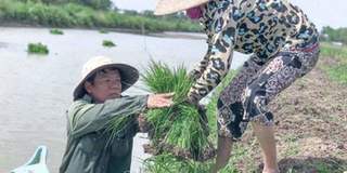 Bộ ảnh cùng ba mẹ làm nông của member Việt Nam Ơi: Vất vả nhưng tự hào
