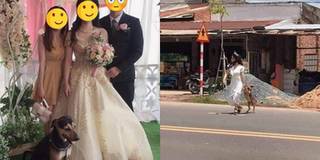 Cô dâu vật vã lôi "boss ham chơi" về chụp hình kỷ niệm trong ngày cưới