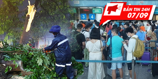 Bản tin 24h: TP.HCM mưa lớn, cây bật gốc, tét nhánh đè người đi đường