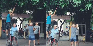 Dân mạng thích thú trước hình ảnh 4 cụ ông “lập team” hái trái cây