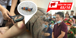 Bản tin 24h: Kiến ba khoang "tấn công" người dân Hà Nội
