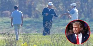Ông Trump lại bị bắt gặp đi đánh golf mặc tin thất cử