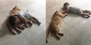 Góc đáng yêu: Em bé và chú mèo lười được mẹ giao nhiệm vụ giữ nhà