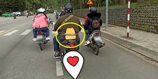 Du lịch 1 mình, chàng trai trẻ liền vác gấu bông đi cùng để bớt cô đơn