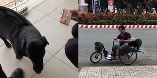 Chú chó thông minh thay người chủ tàn tật đi bán vé số