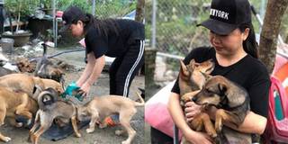 Đà Nẵng: Người phụ nữ bán nhà, cưu mang gần 100 chú chó, mèo bị bỏ rơi
