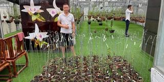 Bén duyên với lan đột biến, Nguyễn Phú sở hữu khu vườn giá trị ‘khủng’