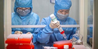 Đại học Toronto: Người có nhóm máu O ít có nguy cơ mắc Covid-19 hơn