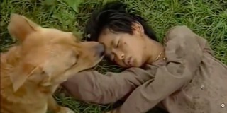 Góc đào mộ: Diễn xuất của chú chó ta trong Đất Phương Nam gây sốt MXH