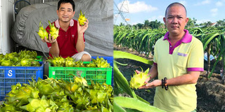 Cận Tết, dân buôn thanh long vàng bán 2 tấn/ngày, thu trăm triệu đồng