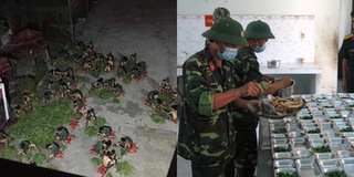 Sự thật về bức ảnh các chiến sĩ chuẩn bị bữa sáng trong khu cách ly