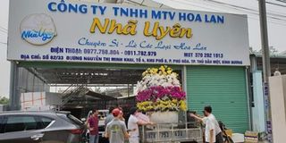 Trần Quang Duy và thú vui chăm sóc hoa lan