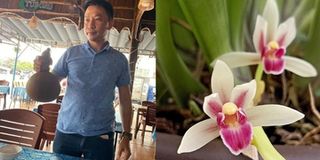 Đàm Nguyễn Tuấn Thành: tôi đam mê với thú chơi hoa lan