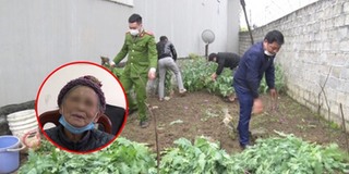 Cụ bà khai trồng 600 cây chất cấm vì lý do không ai ngờ được