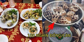 Nhà hàng ở Nha Trang bị "tố" bán ốc hương một con cả trăm nghìn đồng