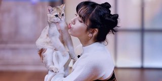 Dàn thú cưng "sướng như tiên" của sao Hàn