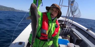 Từ vụ Quỳnh Trần nhận “gạch” vì câu cá mập: Hãy bớt sân si lại
