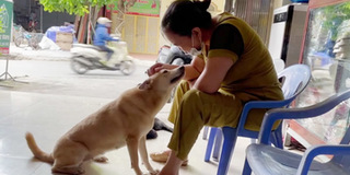 "Rụng tim" với phản ứng siêu cưng của chú cún đòi chủ nhân gãi đầu