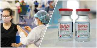 Công bố những phát hiện mới về kháng thể của vaccine Moderna