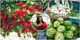 Cận cảnh vườn cây trĩu quả, đẹp hơn phim của bà mẹ đảm