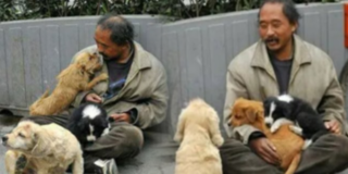 Người đàn ông nghèo khó cưu mang đàn chó khiến CĐM cảm phục