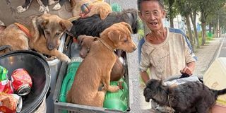 Cảm động: Ông cụ nghèo cưu mang 7 chú chó, chia nhau từng bữa ăn