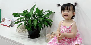 Tiểu công chúa nhà Đông Nhi lần đầu đến công ty ba mẹ dự thính