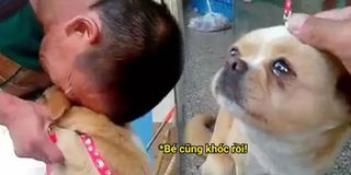Xúc động khoảnh khắc chàng trai bật khóc ôm chú chó làm CĐM nghẹn lòng