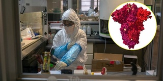 Nhà khoa học: Omicron có thể tự biến mất, hãy bình tĩnh chờ kết luận