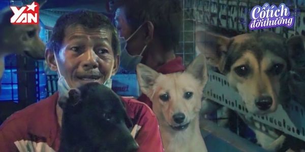 Người đàn ông nhặt ve chai cứu 20 chú chó: Thà nhịn đói chứ không bỏ