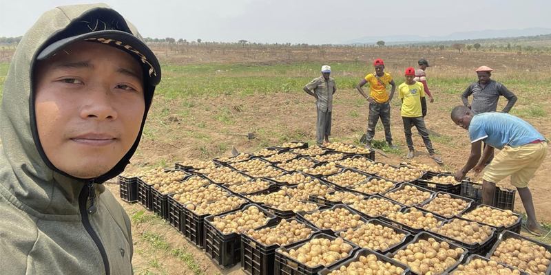 Quang Linh cùng bà con châu Phi thu hoạch lứa khoai đầu tiên