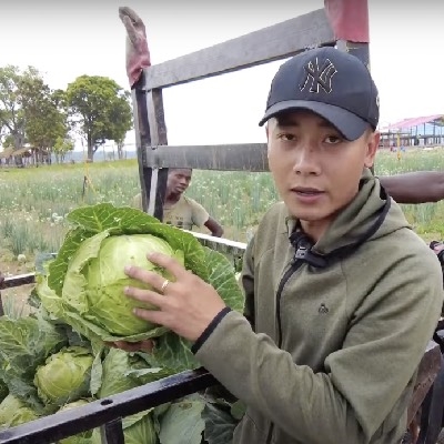 Khách buôn đến trang trại của Quang Linh, mua nông sản số lượng lớn
