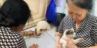 Từng cấm nuôi chó nhưng bà mẹ vội "quay xe" khi thấy thú cưng của con